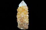 Sunshine Cactus Quartz Crystal - South Africa #80182-1